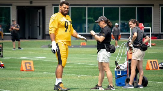Camp fights, depth charts and injuries, oh my! taken on the South Side (Steelers)
